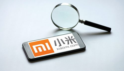 小米強化隱私保護與信息安全 第一優先級下的互聯網信息服務新戰略